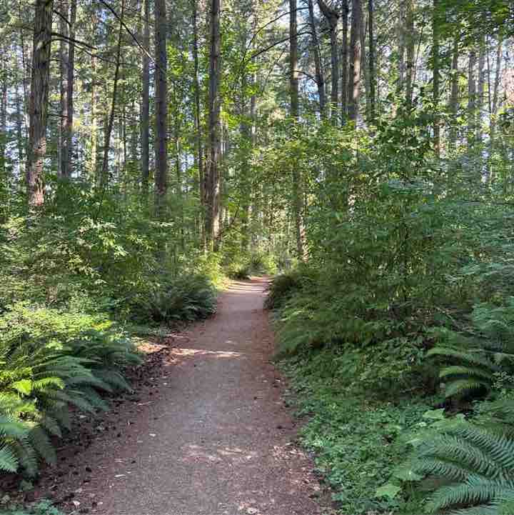 4eugene post 1