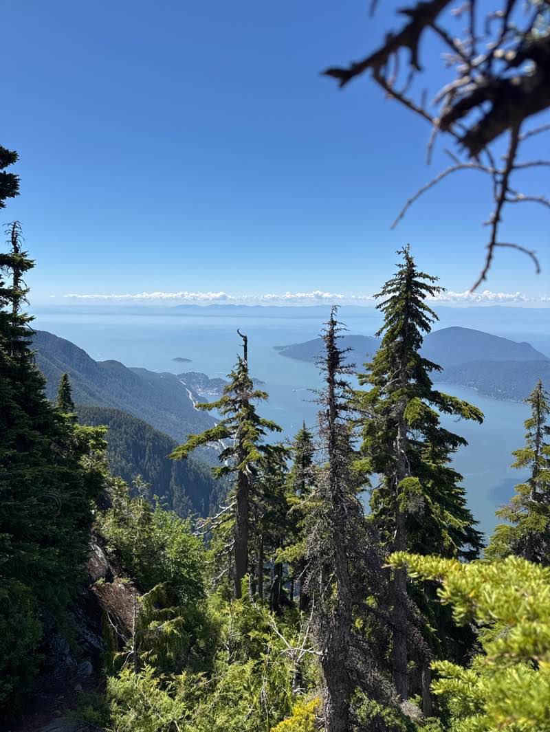 walking near me in Cypress Provincial Park in summer