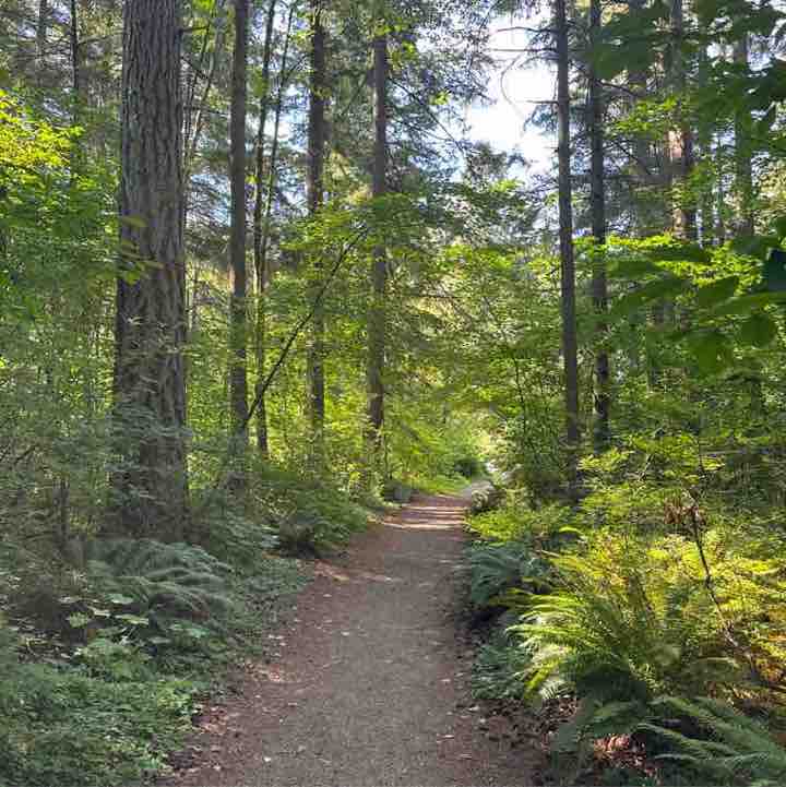 4eugene post 2