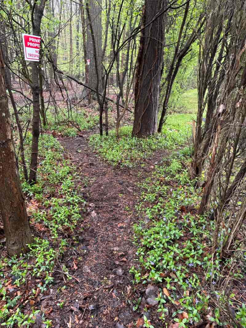 walking near me in Fairview Early Childhood Center (razed) in spring
