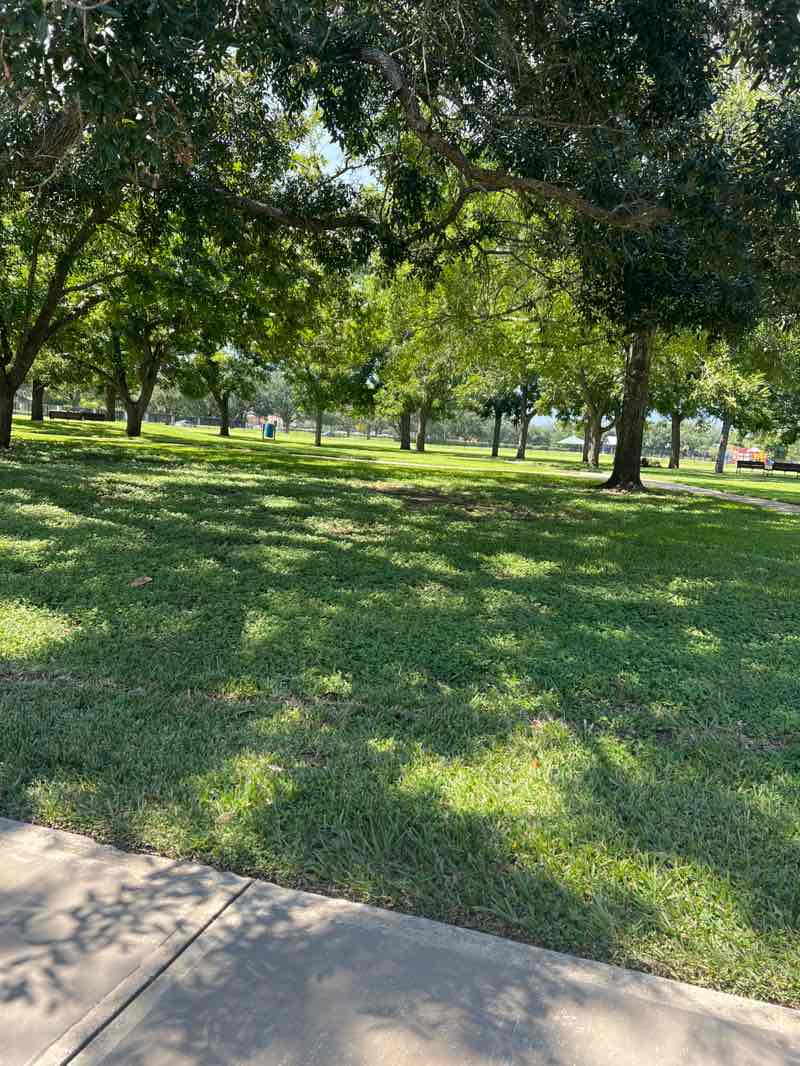 walking near me in Colony Bend Park in autumn