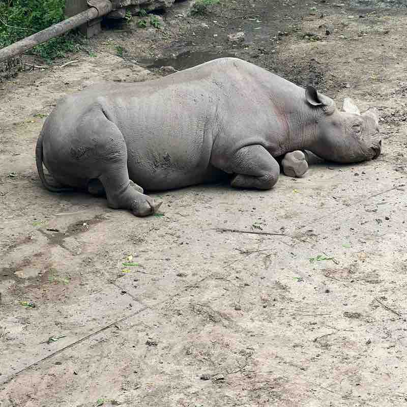 Patrick Mackey post 2