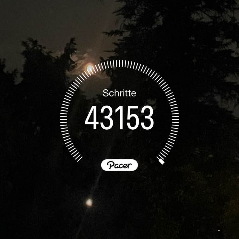 Sigi P 🥾🏃🏻‍♂️🚲🧘🏻—>🍷🥃 post 1