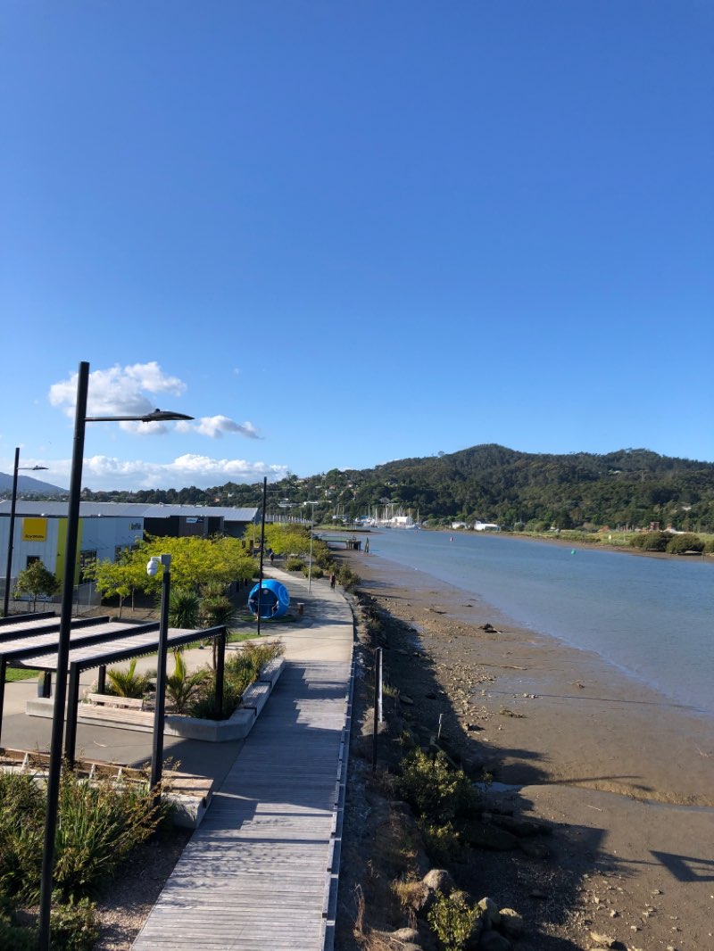 walking near me in William Fraser Memorial Park in summer