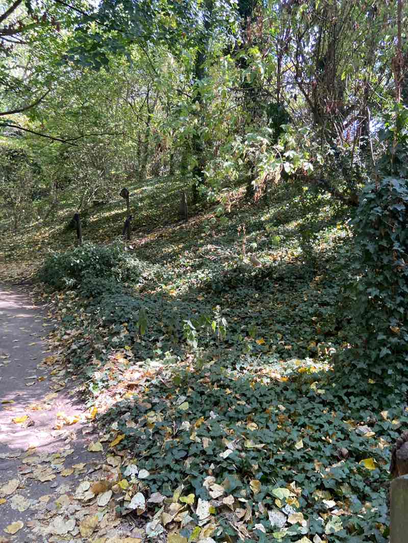 walking near me in Speke Hall Estate in autumn