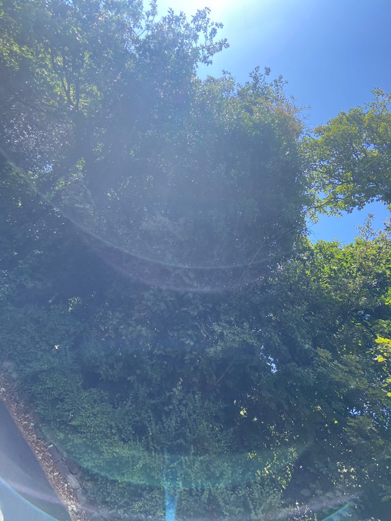 walking near me in Eastham Country Park in autumn