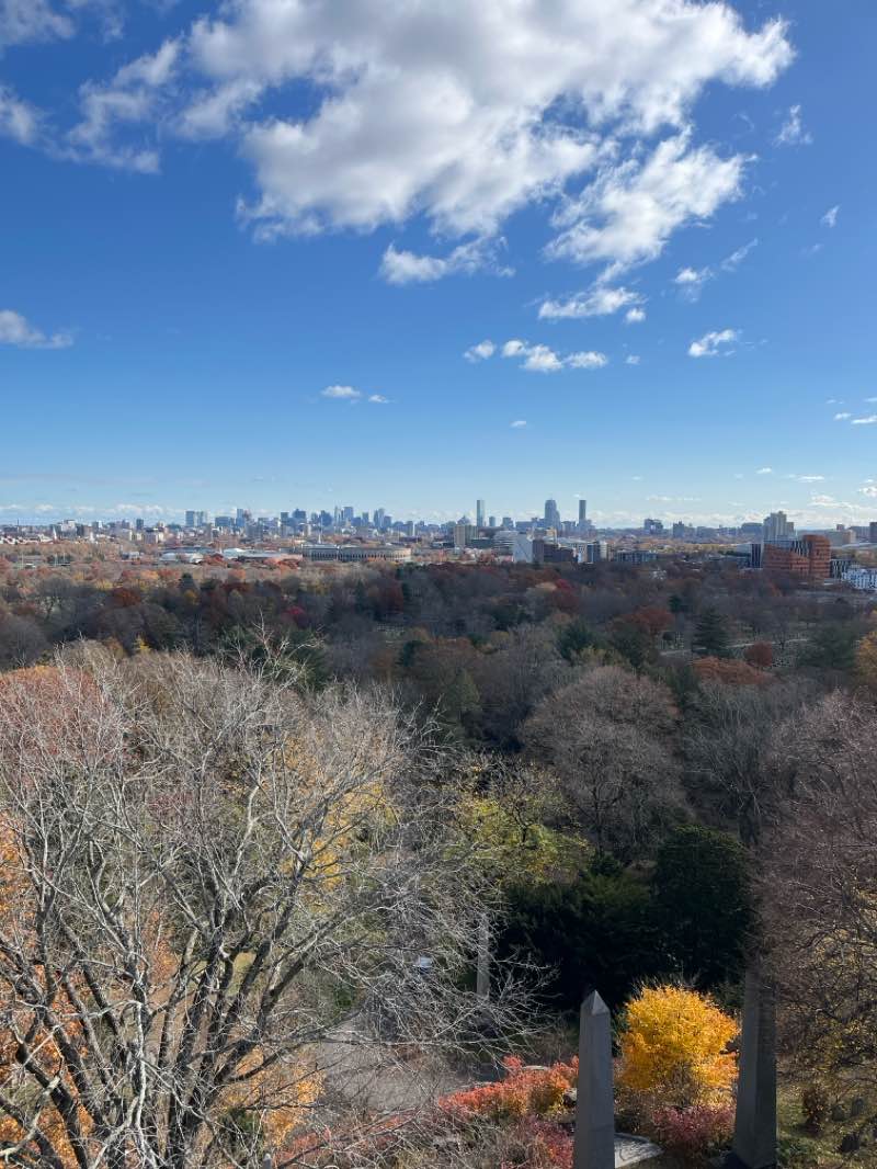 walking near me in Riverside Press Park in autumn