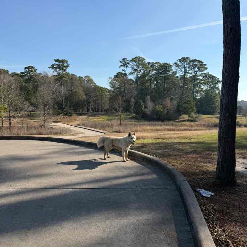 erlinda.duran28 post 1