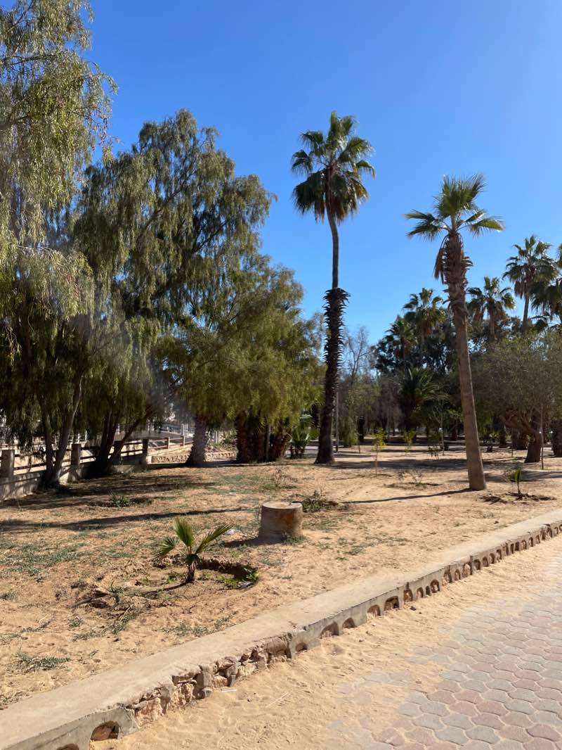 walking near me in حديقة الحيوانات التوتة in winter