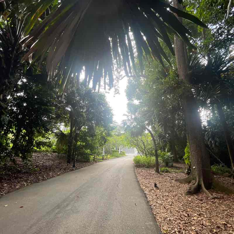 🌟✨E J ✨🌟 post 1