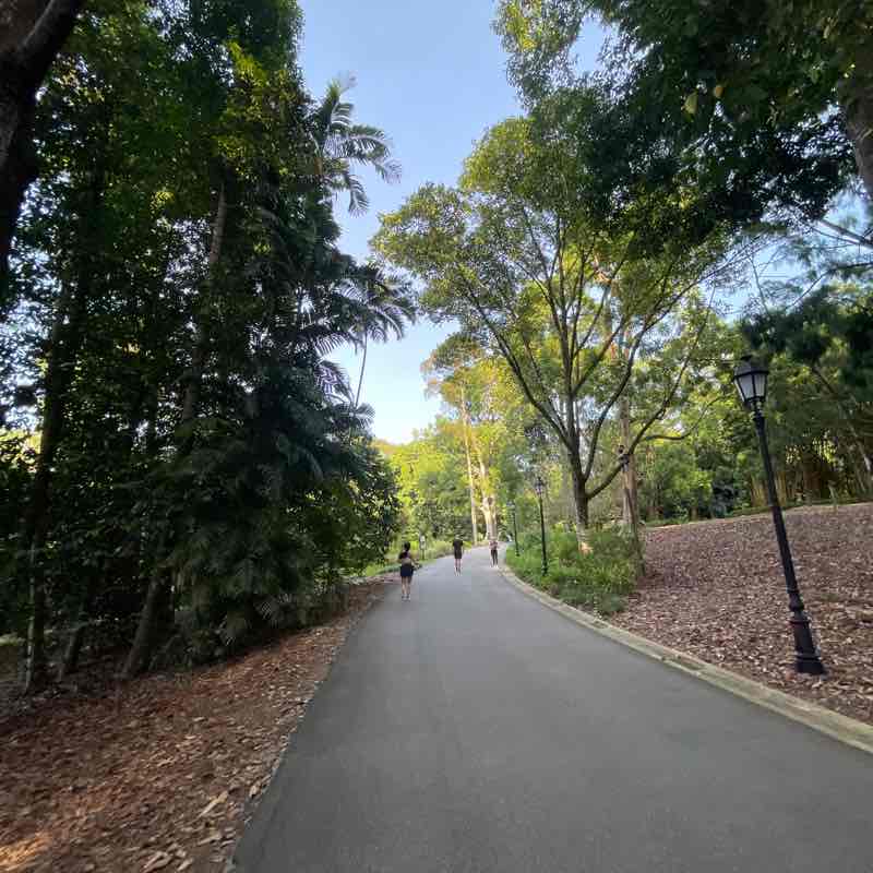 🌟✨E J ✨🌟 post 1