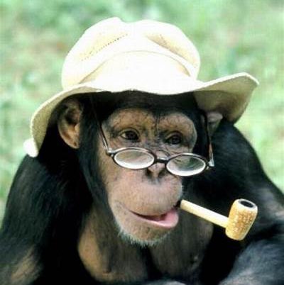 Squatnasty McPoot profile