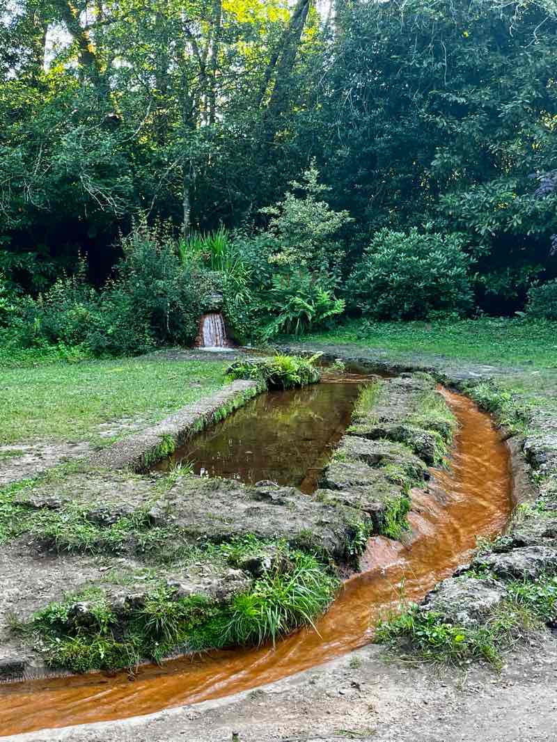 walking near me in Bois des Sources du Peugue in summer