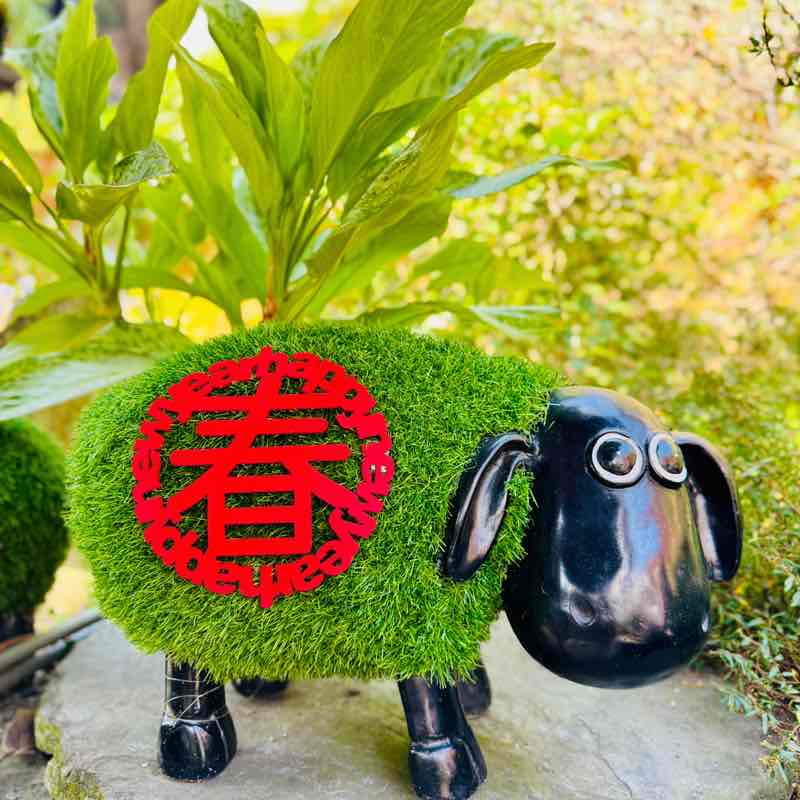 Nosh Masters Lisa post image