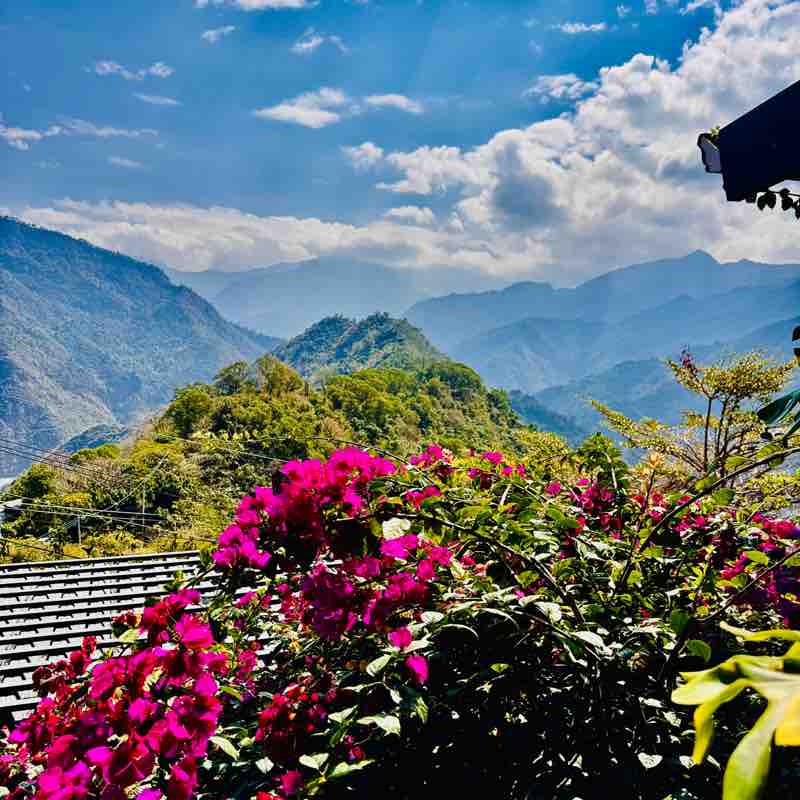 Nosh Masters Lisa post image