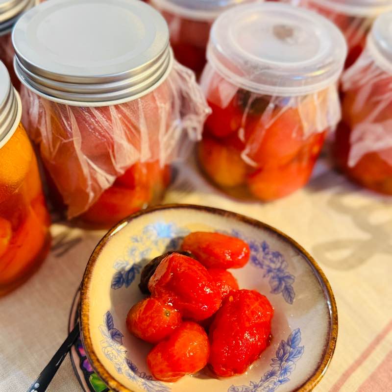 Nosh Masters Lisa post image