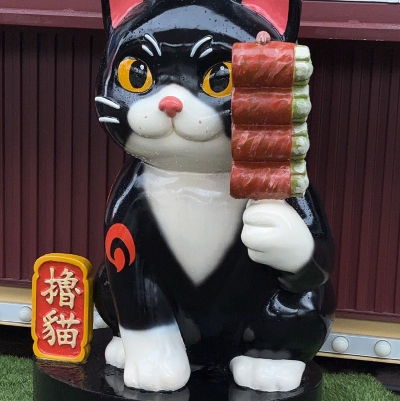 笨貓貓