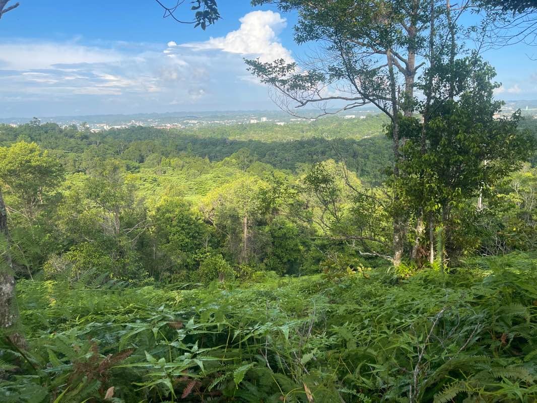 walking near me in Taman Peraginan Tasek Lama in winter