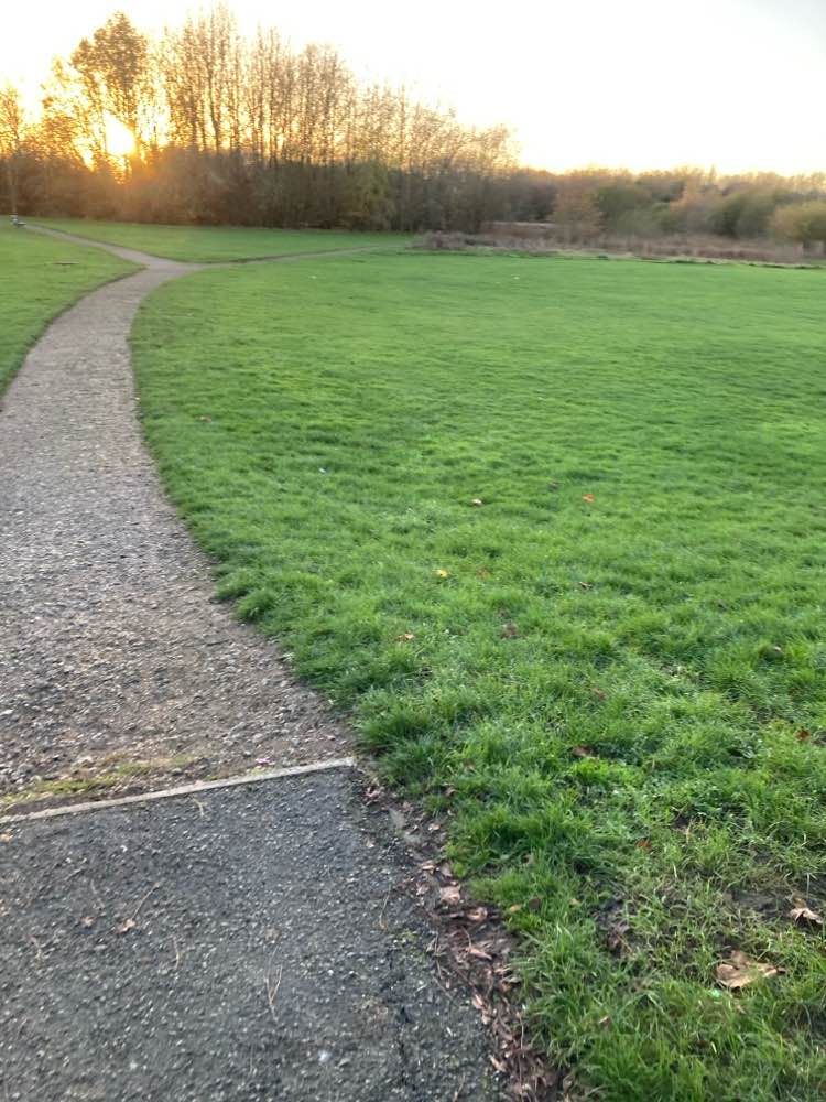 walking near me in The Duckeries in autumn