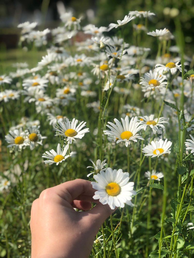 walking near me in Women's Park in winter