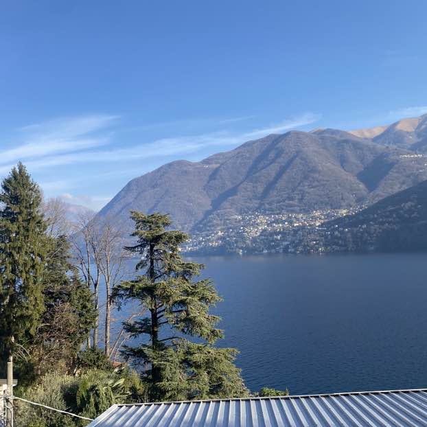 Dante 🏰🏆 post 3