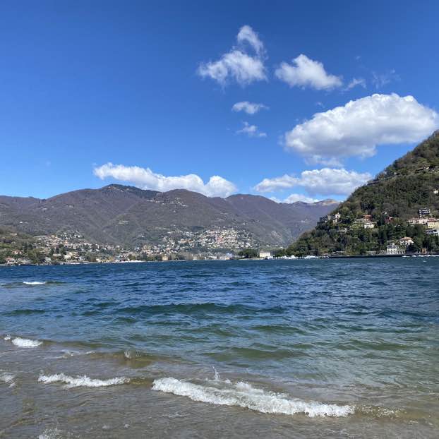 Dante 🏰🏆 post 2