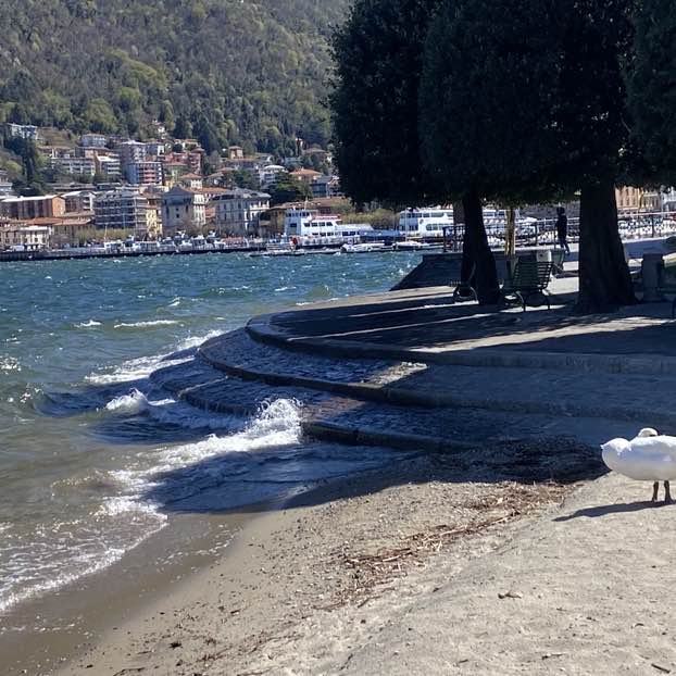 Dante 🏰🏆 post 3