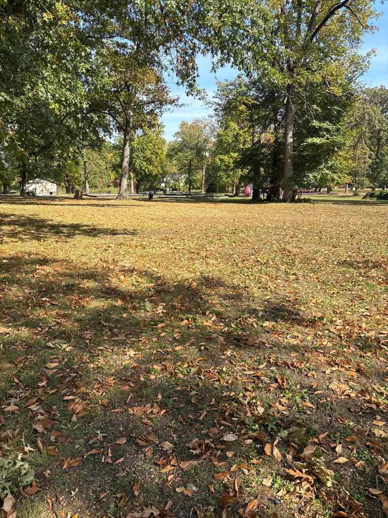 walking near me in Phelps Park in autumn