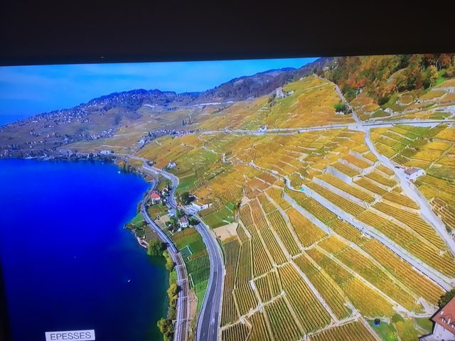 Gérald_1950 🇨🇭