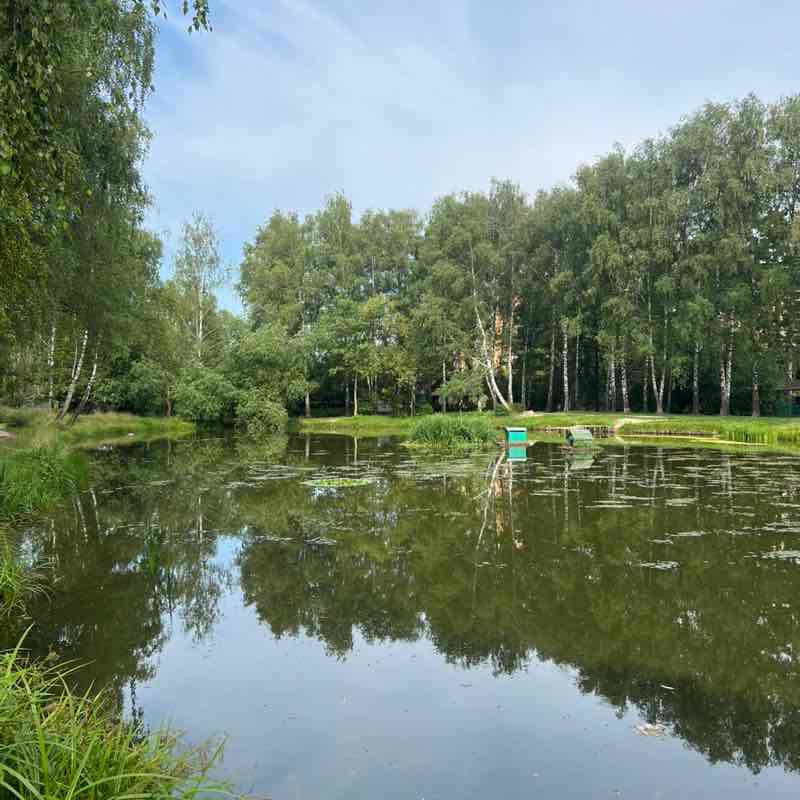 Анастасия post 2