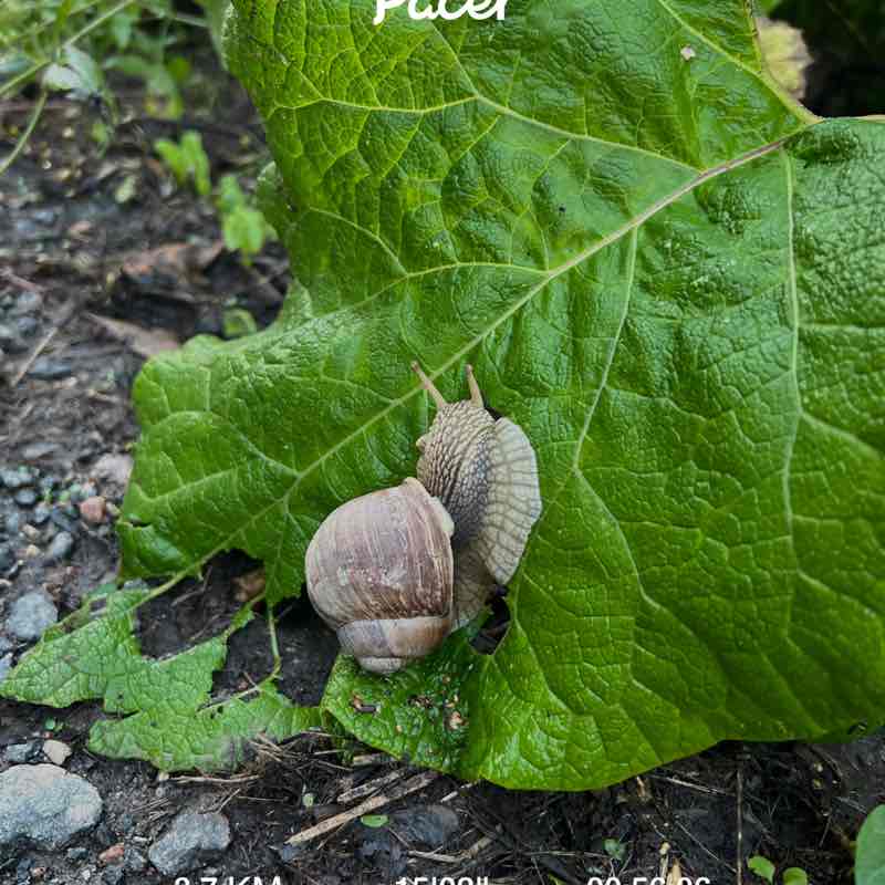 Анастасия post 1