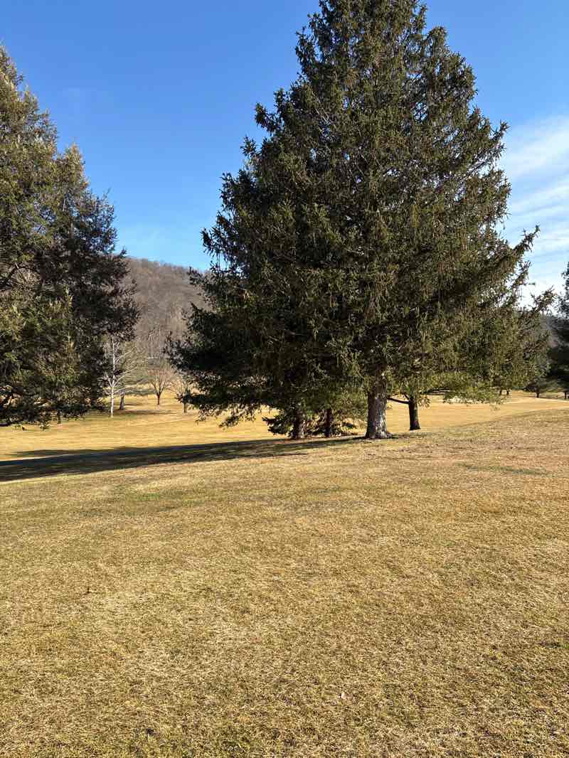 walking near me in Carroll Commons Park in winter