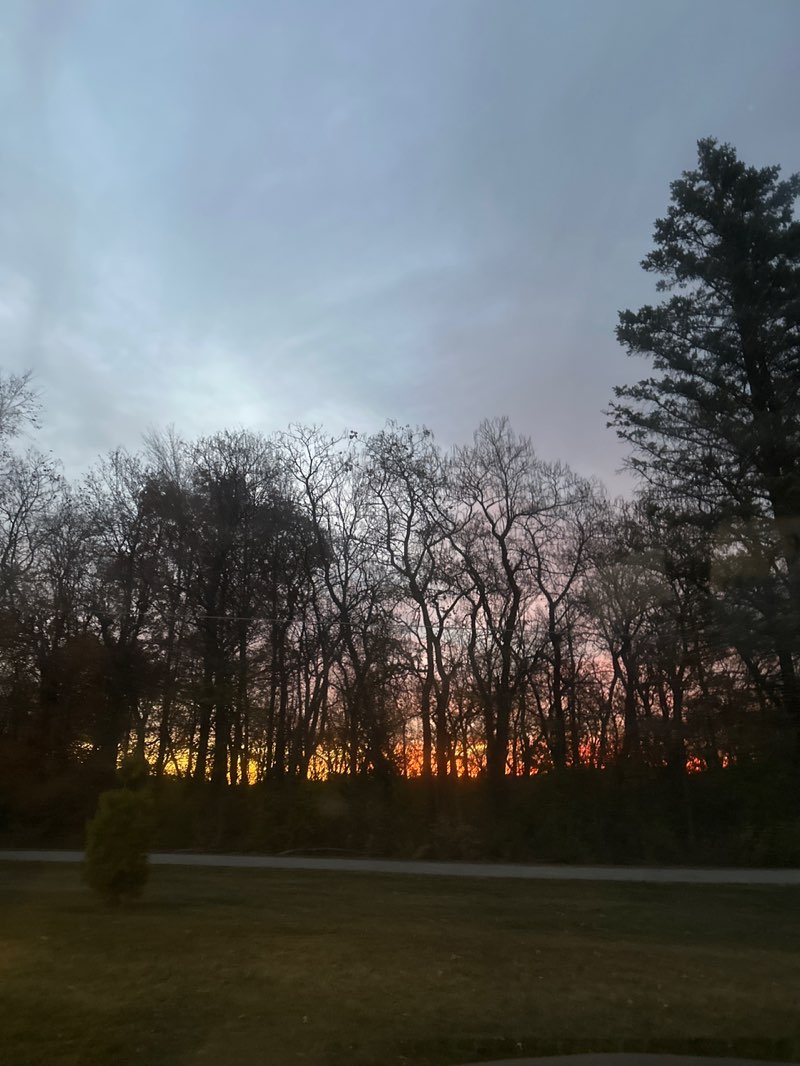 walking near me in Salomon Farm Park in autumn