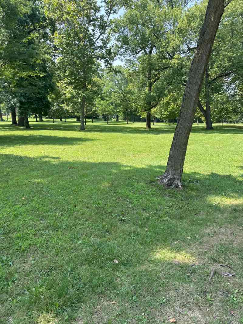 walking near me in Vesey Park in autumn