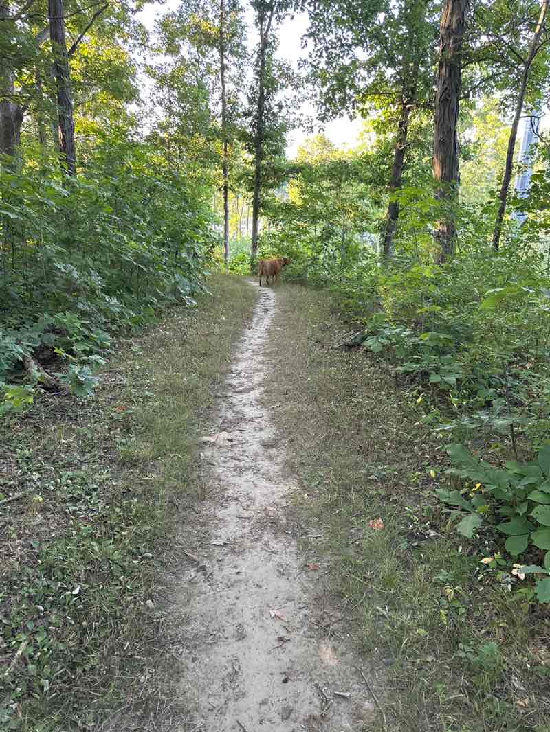walking near me in Chain O'Lakes State Park in autumn