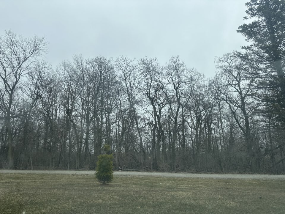 walking near me in Salomon Farm Park in spring