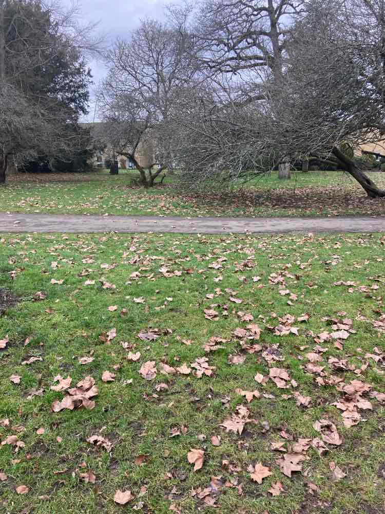 walking near me in Abbey Grounds in winter