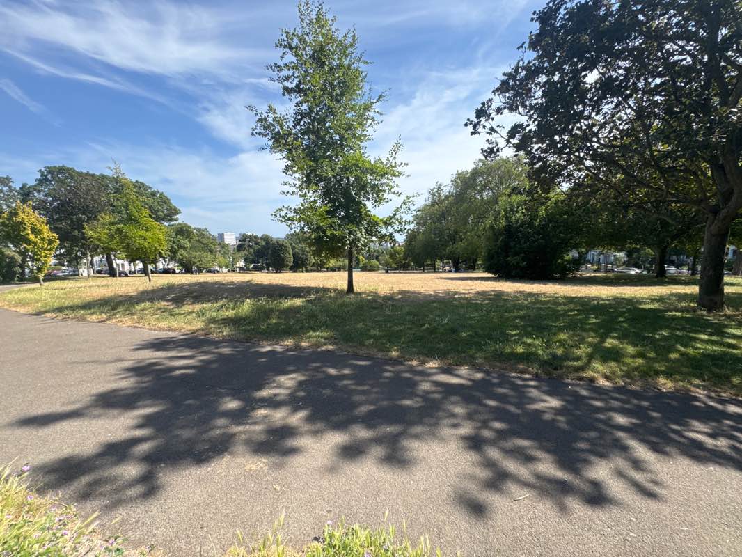 walking near me in Blakers Park in summer