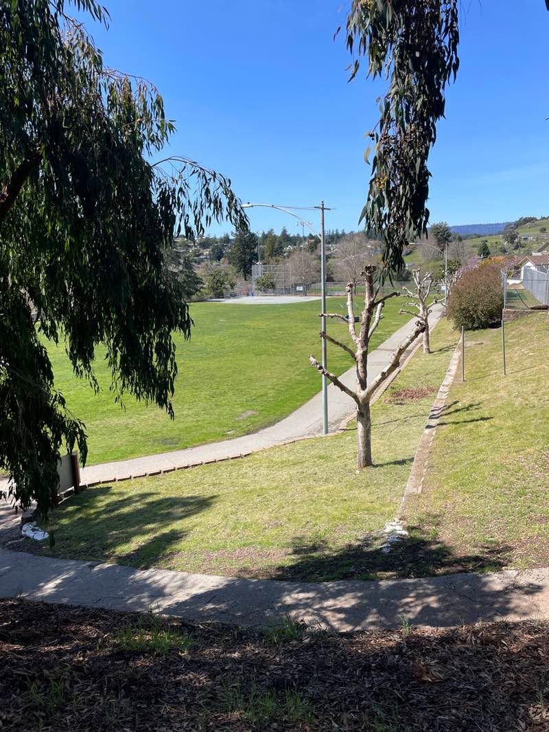 walking near me in Siltanen Community Park in spring