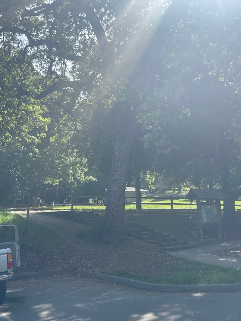 walking near me in Belgatos Park in spring