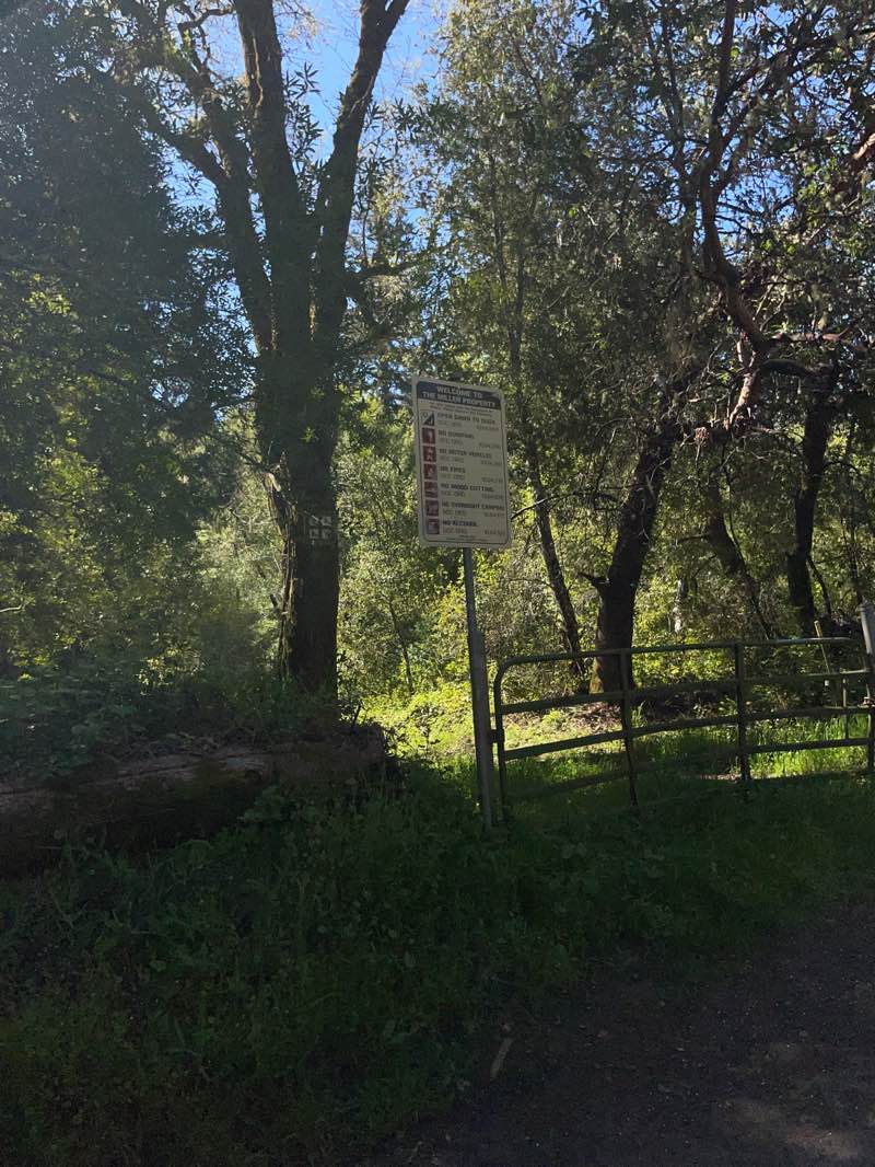 walking near me in Miller Property County Park in spring