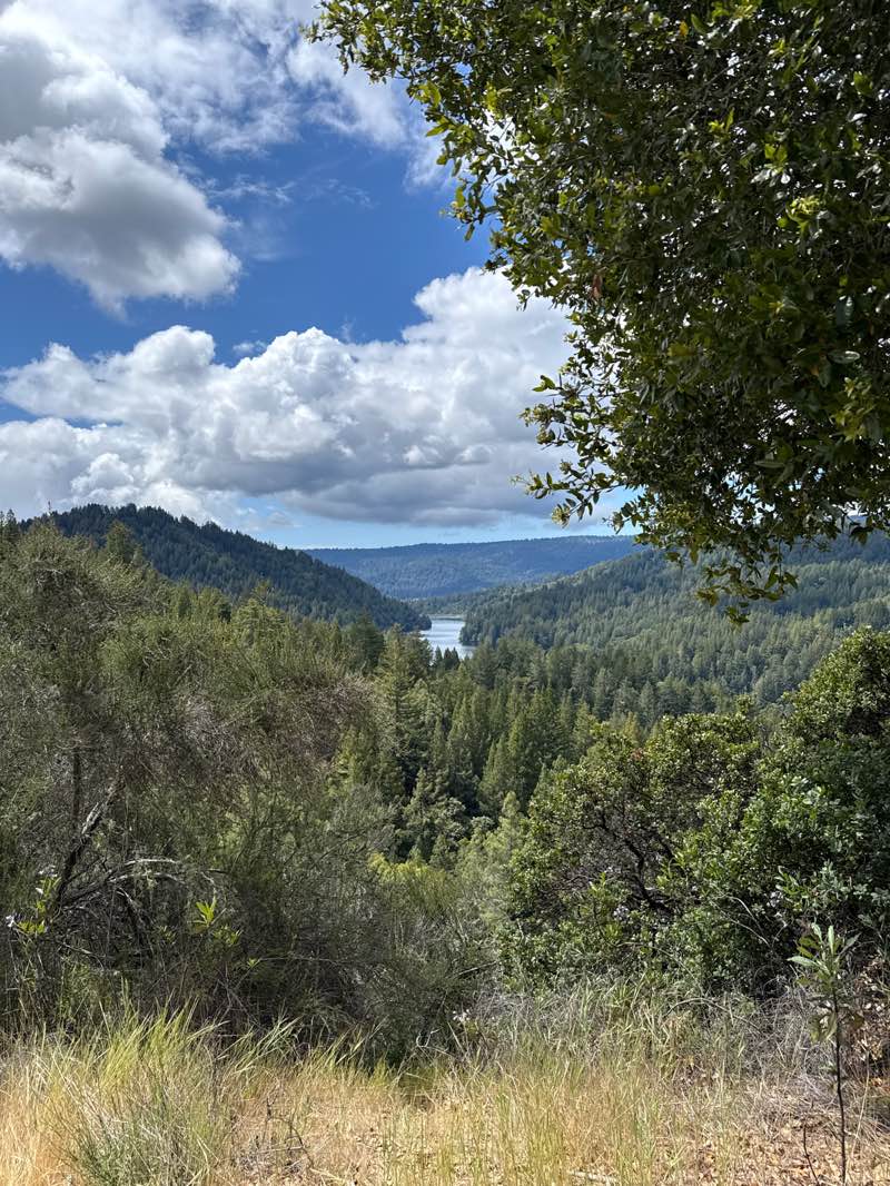 walking near me in Loch Lomond City Recreation Area in spring