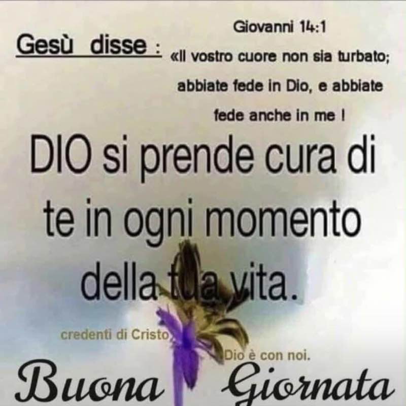 Nancy  cucinotta post 2