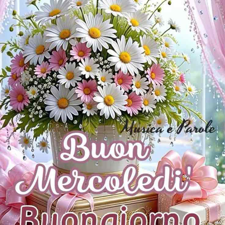 Nancy  cucinotta post 3