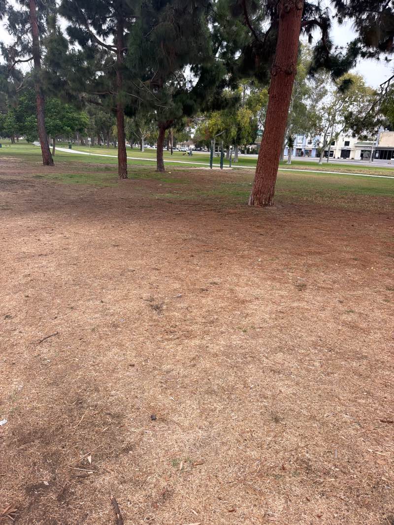 walking near me in Heartwell Park in summer