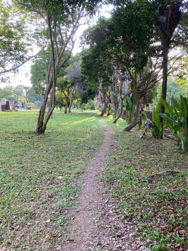 walking near me in Taman Soga Park in winter
