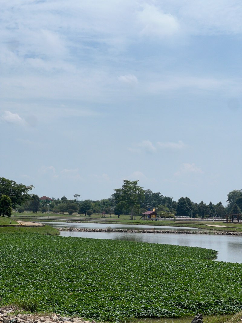 walking near me in Bera Public Park in autumn