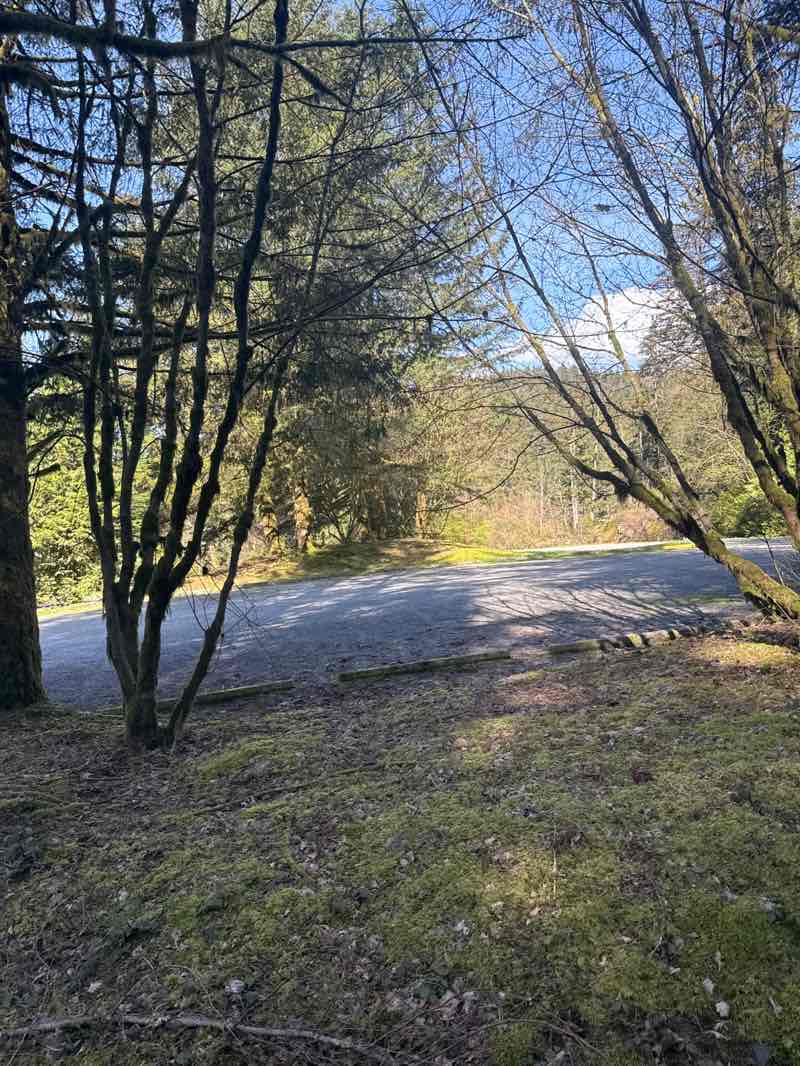 walking near me in təmtəmíxʷtən/Belcarra Regional Park in spring