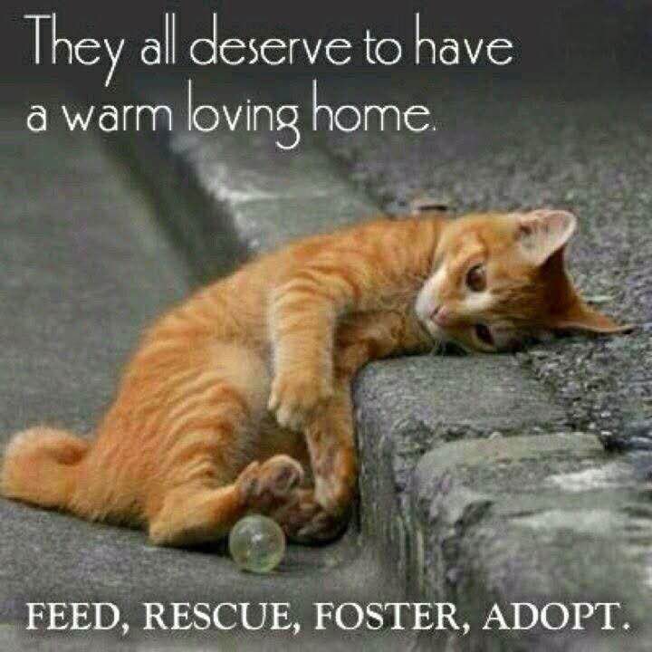 Sanur Jalan Dahlea62๐ถโโ๏ธโ๏ธ๐ฅ๐ฎ๐ฉโฑ๐ฅ post image