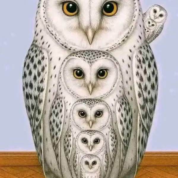 Sanur Jalan Dahlea62๐ถโโ๏ธโ๏ธ๐ฅ๐ฎ๐ฉโฑ๐ฅ post image